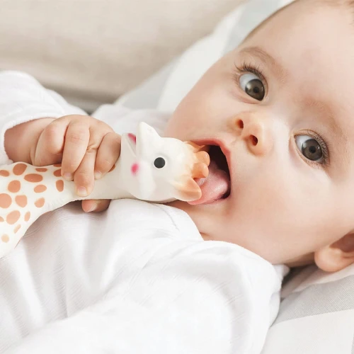 SOPHIE LA GIRAFE Set Naturkautschuk Beißring SO PURE 18CM plus kleiner