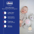 CHICCO First Dreams Bär PROJEKTOR Lampe Geräusche
