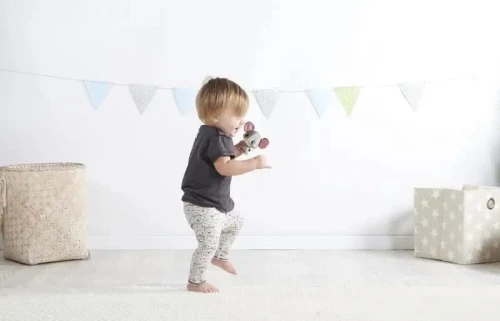 TINY LOVE wonder buddies MAUS COCO