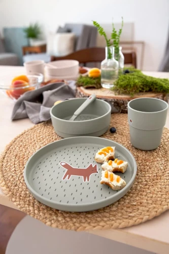 LASSIG Geschirrset ohne Melamin Little Forest Fox