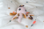 4417d42f720e6cc6e0a8dd7216d2a6f0.png