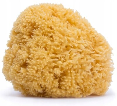 SUAVINEX Natürlicher Meeresschwamm für Kinder 10 cm