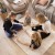 0bd38ef8bed65b5196aee8cbb99c80a4.jpg
