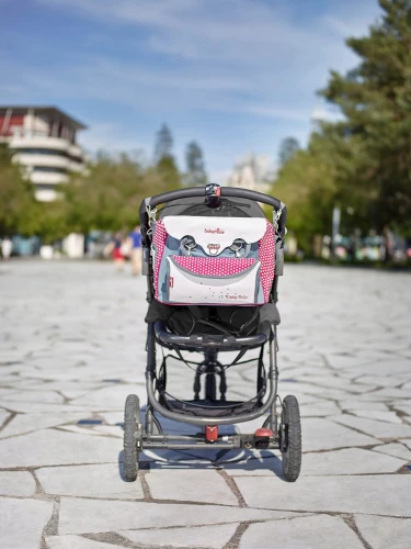 BABYMOOV Kinderwagen-Tasche BABY CHIC + Wickelauflage